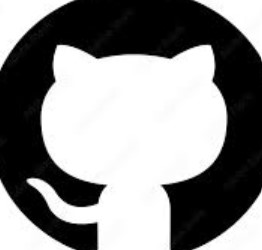 github favicon